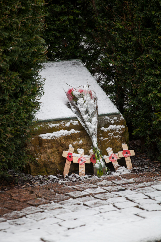 Jephson, Gardens, Leamington, Spa, Landscape, Photography, Warwick, Warwickshire, Snow, Photographer, Esme, Fletcher, goose, wildlife, ice, frozen