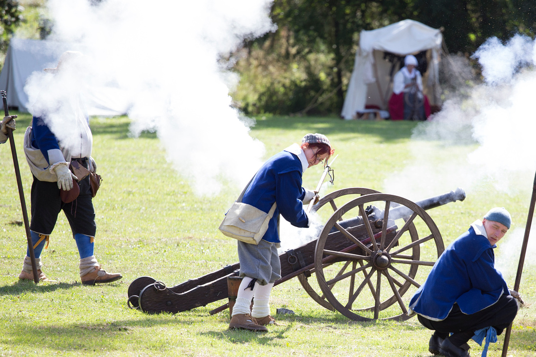 Battle, Of, Southam, 2013, re enactment, owl, market, hill, photographer, photography, pictures